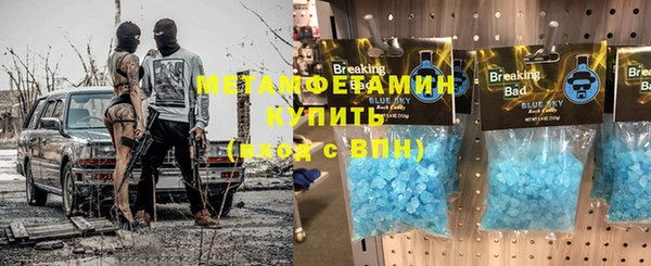 ГАЛЛЮЦИНОГЕННЫЕ ГРИБЫ Богданович