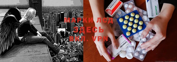 ГАЛЛЮЦИНОГЕННЫЕ ГРИБЫ Богданович