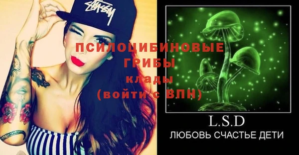 ГАЛЛЮЦИНОГЕННЫЕ ГРИБЫ Богданович