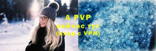ГАЛЛЮЦИНОГЕННЫЕ ГРИБЫ Богданович