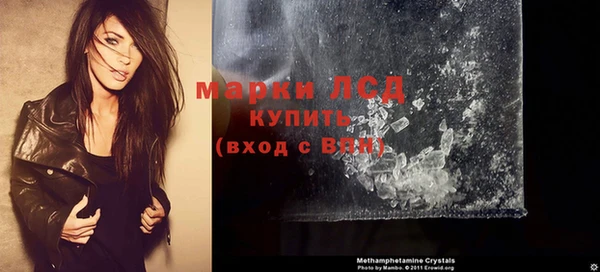 ГАЛЛЮЦИНОГЕННЫЕ ГРИБЫ Богданович
