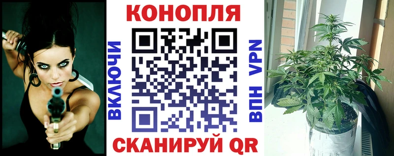 Купить закладки  Гурьевск  Бошки марихуана планчик 